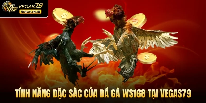 Tính năng đặc sắc của đá gà WS168 tại Vegas79
